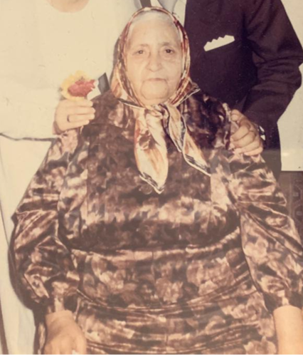 תמונה1